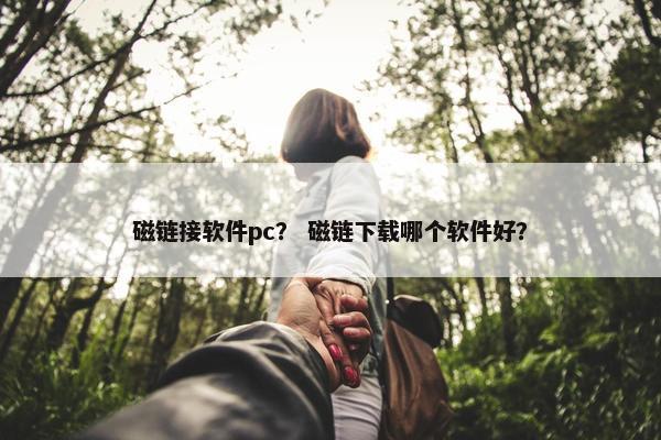磁链接软件pc？ 磁链下载哪个软件好？