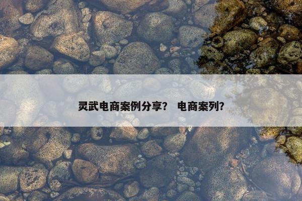 灵武电商案例分享？ 电商案列？