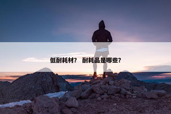 低耐耗材？ 耐耗品是哪些？