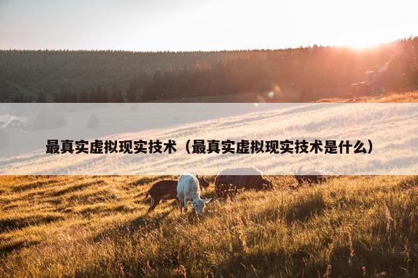 最真实虚拟现实技术（最真实虚拟现实技术是什么）