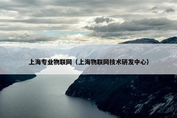 上海专业物联网（上海物联网技术研发中心）