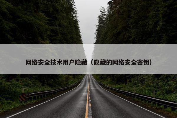 网络安全技术用户隐藏（隐藏的网络安全密钥）