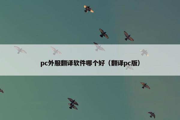 pc外服翻译软件哪个好（翻译pc版）