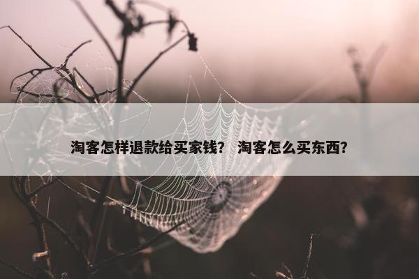 淘客怎样退款给买家钱？ 淘客怎么买东西？