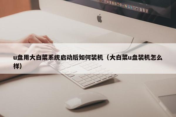 u盘用大白菜系统启动后如何装机（大白菜u盘装机怎么样）