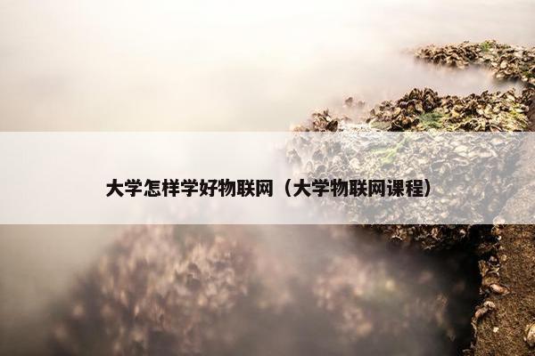 大学怎样学好物联网（大学物联网课程）