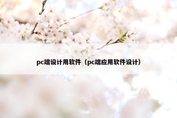 pc端设计用软件（pc端应用软件设计）