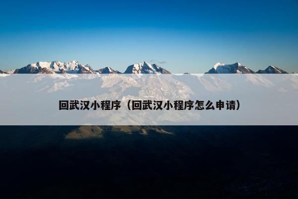 回武汉小程序（回武汉小程序怎么申请）