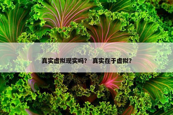 真实虚拟现实吗？ 真实在于虚拟？