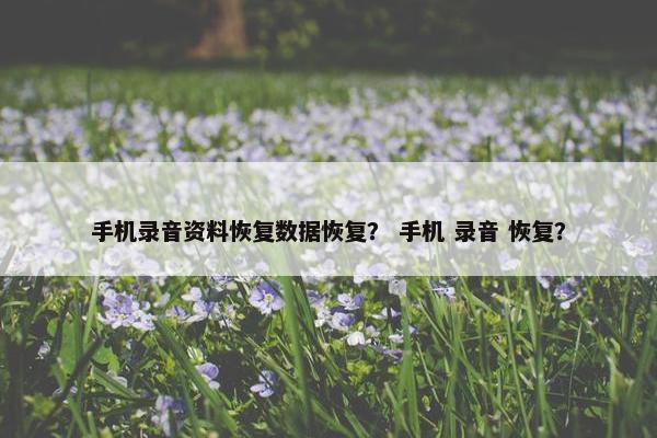 手机录音资料恢复数据恢复？ 手机 录音 恢复？