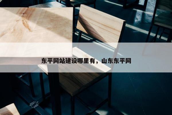 东平网站建设哪里有，山东东平网