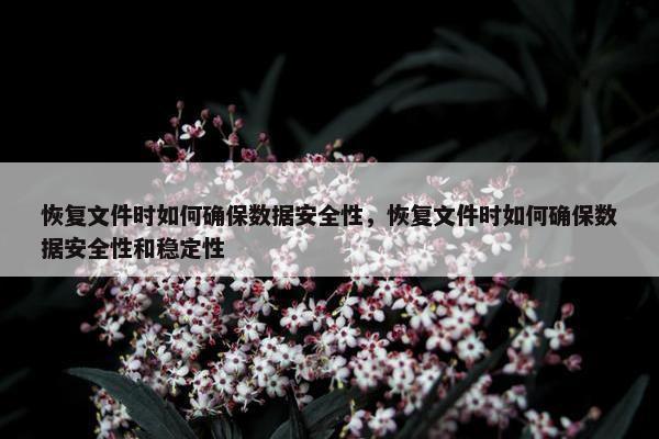 恢复文件时如何确保数据安全性，恢复文件时如何确保数据安全性和稳定性