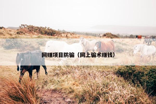 网赚项目防骗（网上骗术赚钱）