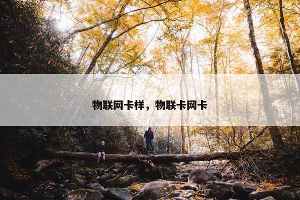 物联网卡样，物联卡网卡