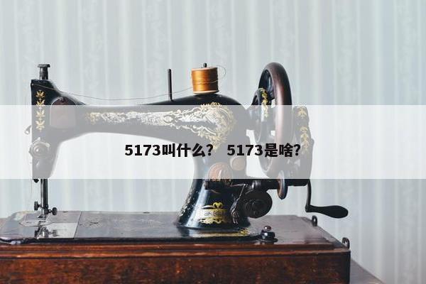5173叫什么？ 5173是啥？