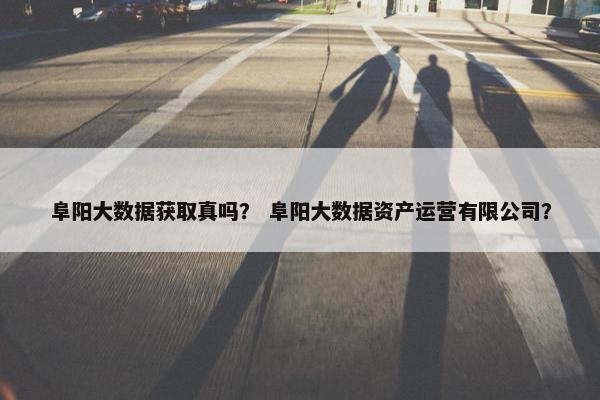 阜阳大数据获取真吗？ 阜阳大数据资产运营有限公司？