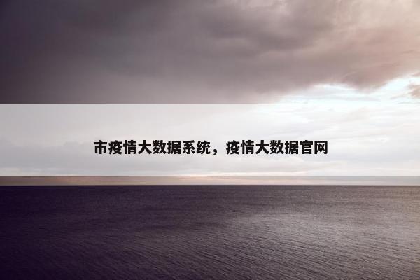 市疫情大数据系统，疫情大数据官网