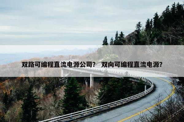 双路可编程直流电源公司？ 双向可编程直流电源？