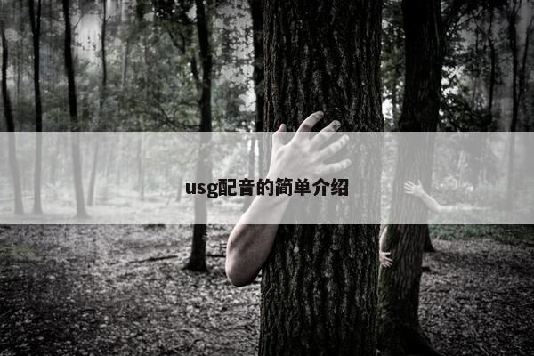 usg配音的简单介绍