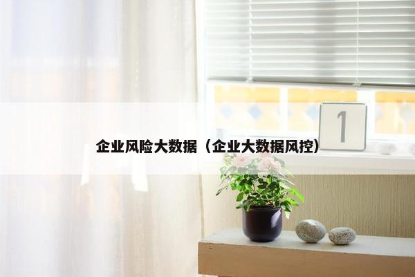 企业风险大数据（企业大数据风控）