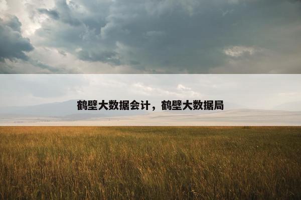 鹤壁大数据会计，鹤壁大数据局