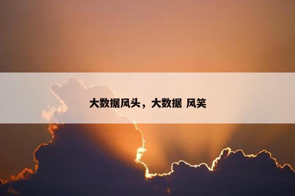 大数据风头，大数据 风笑