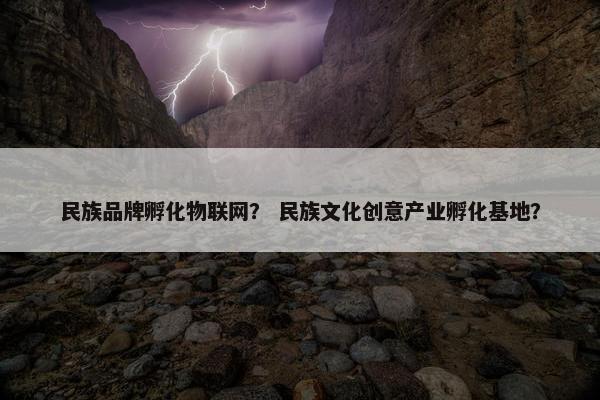 民族品牌孵化物联网？ 民族文化创意产业孵化基地？