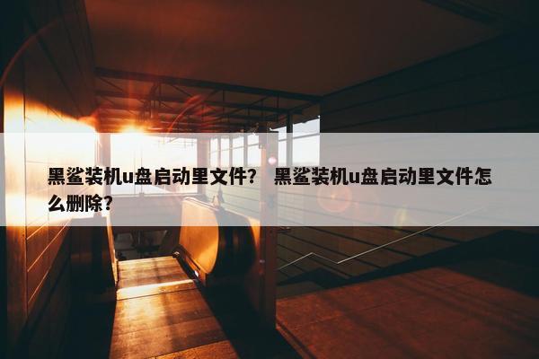 黑鲨装机u盘启动里文件？ 黑鲨装机u盘启动里文件怎么删除？