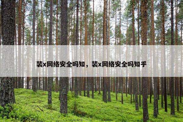 装x网络安全吗知，装x网络安全吗知乎