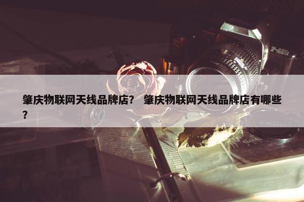 肇庆物联网天线品牌店？ 肇庆物联网天线品牌店有哪些？
