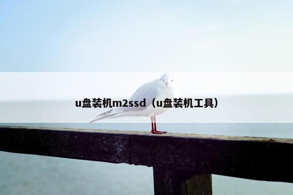 u盘装机m2ssd（u盘装机工具）