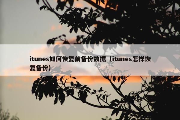 itunes如何恢复前备份数据（itunes怎样恢复备份）