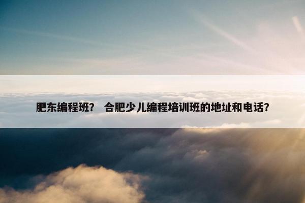 肥东编程班？ 合肥少儿编程培训班的地址和电话？