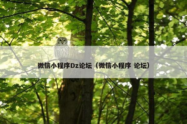 微信小程序Dz论坛（微信小程序 论坛）