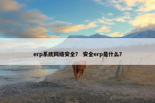 erp系统网络安全？ 安全erp是什么？