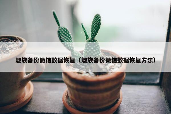 魅族备份微信数据恢复（魅族备份微信数据恢复方法）