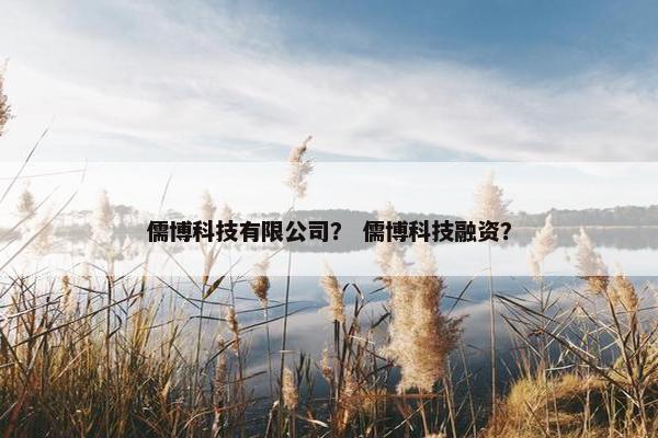 儒博科技有限公司？ 儒博科技融资？