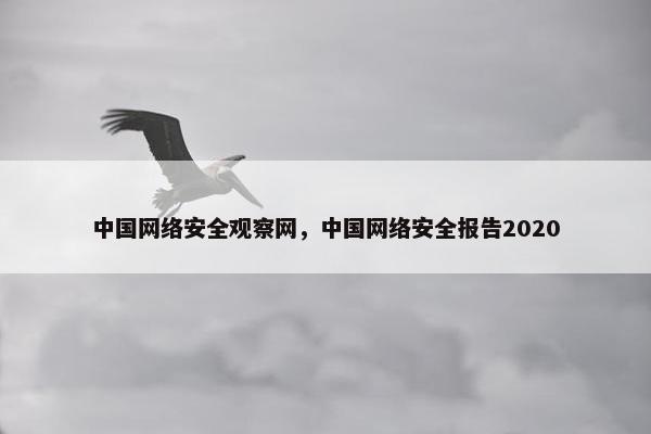 中国网络安全观察网，中国网络安全报告2020