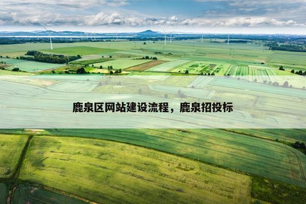 鹿泉区网站建设流程，鹿泉招投标