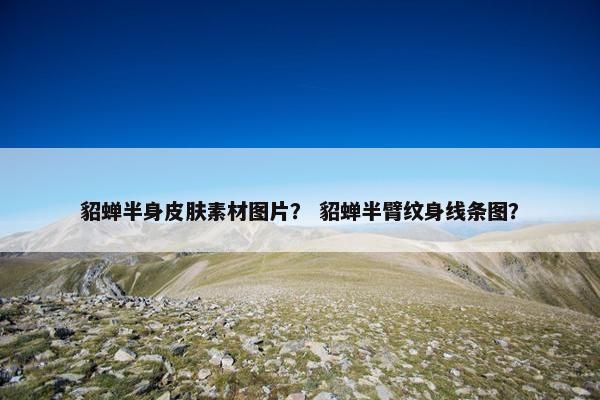 貂蝉半身皮肤素材图片？ 貂蝉半臂纹身线条图？