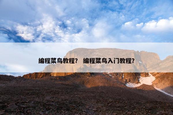 编程菜鸟教程？ 编程菜鸟入门教程？