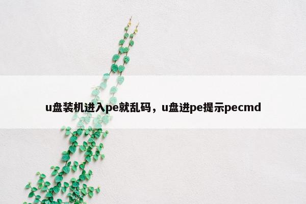 u盘装机进入pe就乱码，u盘进pe提示pecmd