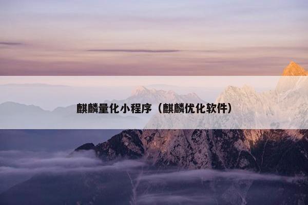 麒麟量化小程序（麒麟优化软件）