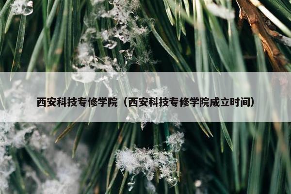 西安科技专修学院（西安科技专修学院成立时间）