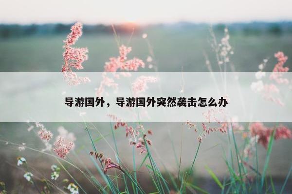 导游国外，导游国外突然袭击怎么办