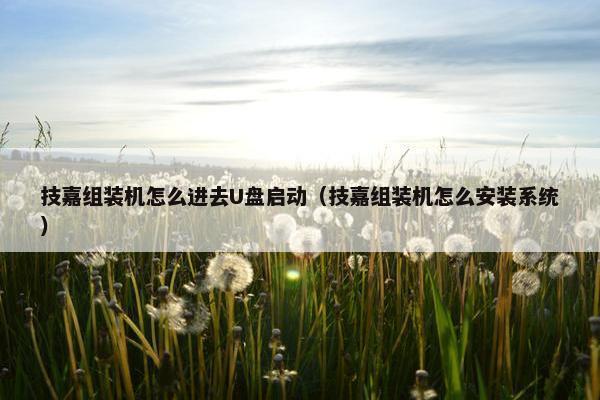 技嘉组装机怎么进去U盘启动（技嘉组装机怎么安装系统）