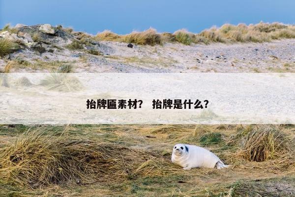 抬牌匾素材？ 抬牌是什么？