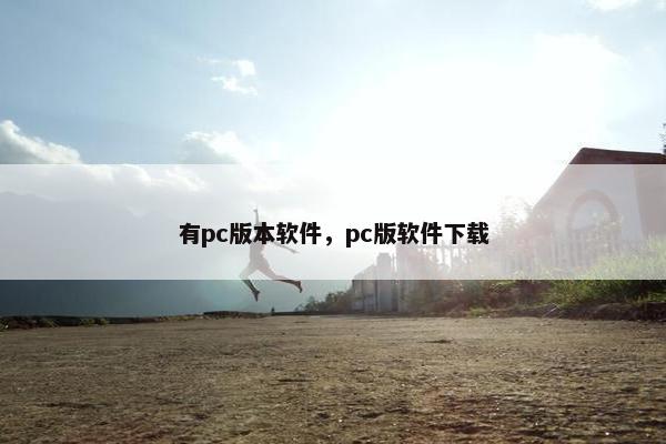 有pc版本软件，pc版软件下载