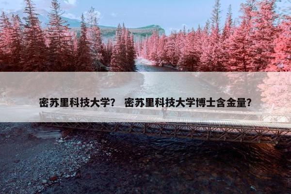 密苏里科技大学？ 密苏里科技大学博士含金量？