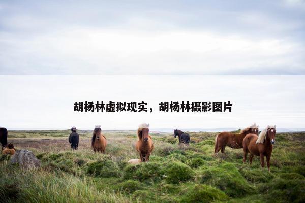 胡杨林虚拟现实，胡杨林摄影图片